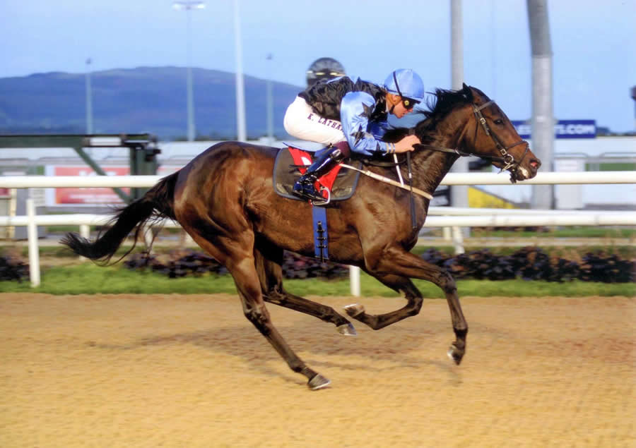 Posh Cracker Dundalk Fri 1st Oct